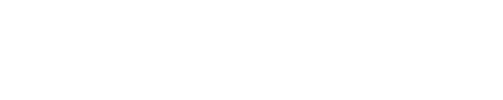 Vanguard Logo